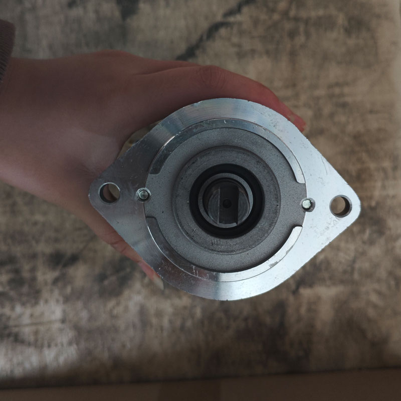 1.2KW DC Hydraulic Motors